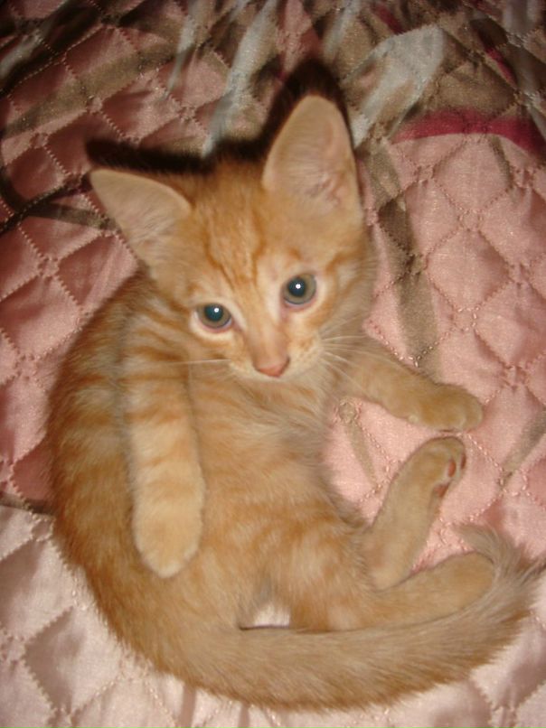 Оля Хапцова фотография #19