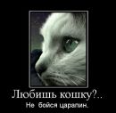 Фотография Пушкарёвой Ирины