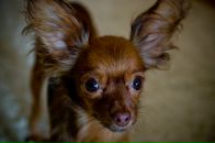 Фотография Семеновой Ани