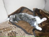 Фотография Александровны Юлии