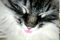 Фотография Евдокимовой Анастасии