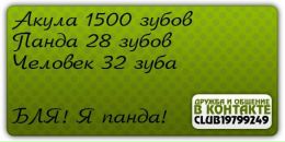 =) 8-d фотография #22 (источник - https://vk.com/id65805679)