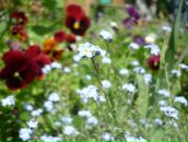 Фотография Стаценко Лены