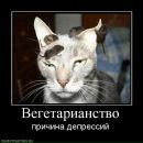 Сергій Водоп'янов фотография #15 (источник - https://vk.com/id14034638)