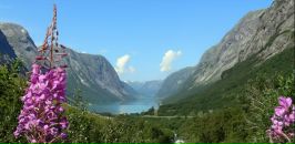 Фотография Литвиновой Оли