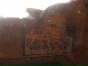 Софія Гапонюк фотография #3 (источник - https://vk.com/id28712059)