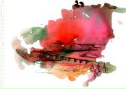 Фотография Соболевой Дарьи