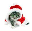 Фотография Корминой Татьяны