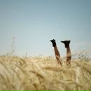 Фотография Тимошковой Яны