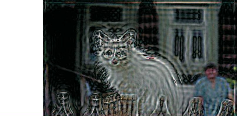 Дмитрий Лукьяненко фотография #28