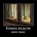 Фотография Тришина Павла