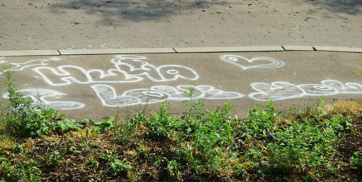 Nitka Панда фото №7