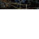 Aleksei N фотография #18 (источник - https://vk.com/id153556975)