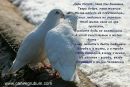 Надюша Ониськів фотография #13 (источник - https://vk.com/id339889546)