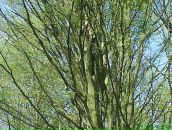 Івана Курсік фотография #13 (источник - https://vk.com/id50356237)