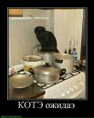 Дмитрий Макаров фотография #35 (источник - https://vk.com/id2691551)