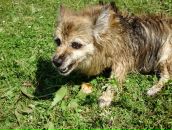 Фотография Ширкуновой Инны