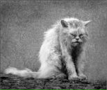 Фотография Валитова Павла