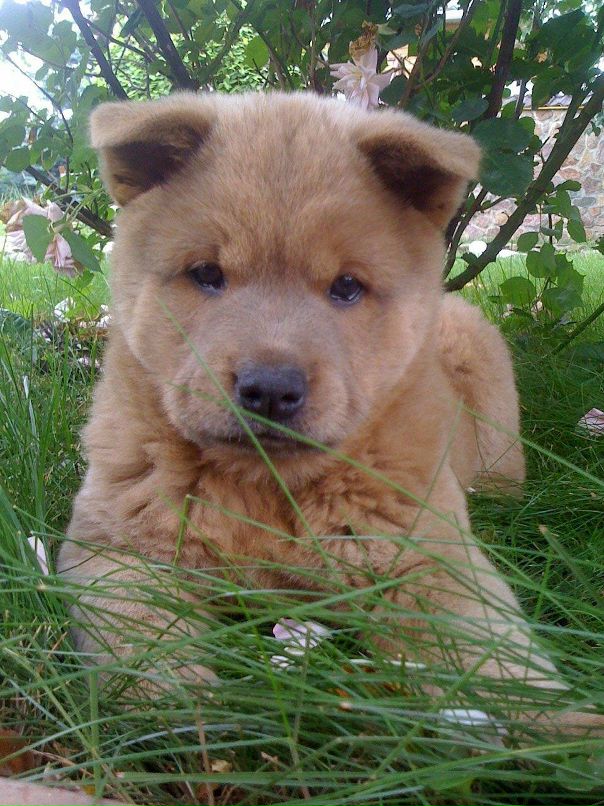 Евгений Душкин фотография #26