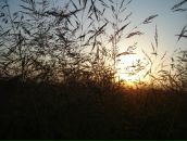 Вітя Расюн фотография #45 (источник - https://vk.com/id19268279)