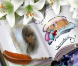 Надія Семко фотография #45 (источник - https://vk.com/id65332144)