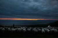 Олексій Гапонідзе фотография #23 (источник - https://vk.com/id20295178)