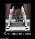 N[i]ki Baby фотография #26 (источник - https://vk.com/id66662499)