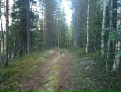 Фотография Кондратьева Александра