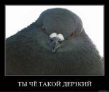 Фотография Окишеффа Сержа