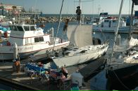 Филипп Келейнов фотография #21 (источник - https://vk.com/id68366)