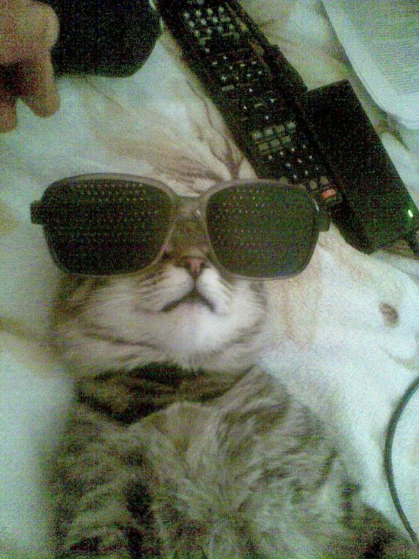 Надежда Василенко фотография #50