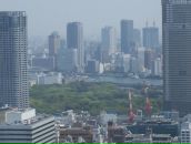 Фотография Яковлева Анастасия