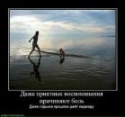Олексій Дроздов фотография #25 (источник - https://vk.com/id39117121)