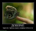 Олексій Дроздов фотография #18 (источник - https://vk.com/id39117121)