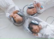 Фотография Тарасовой Вики