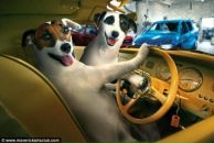 Фотография Ришко Ани