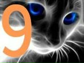 Діма Японцев фотография #1