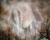 Фотография Мишина Александра