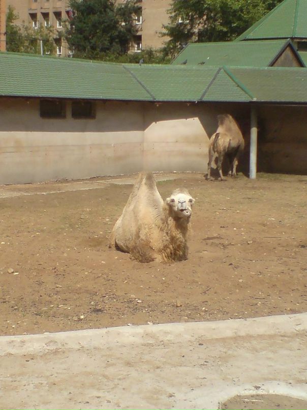 Дмитрий Сарычев фотография #12