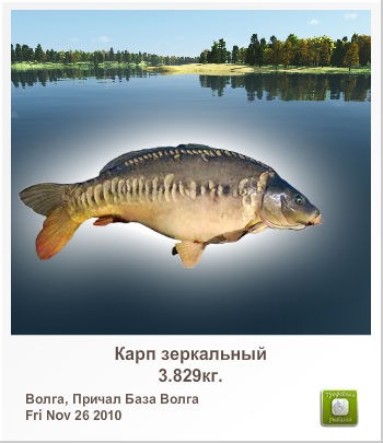  фото №8