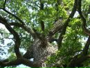 Наталі Ярова фотография #17 (источник - https://vk.com/id35860470)