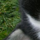 Каріно4ка♥ Шрамко фотография #32 (источник - https://vk.com/id147791993)