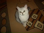 Фотография Михалёва Михаила