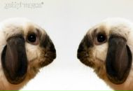 Фотография Зак Алёны