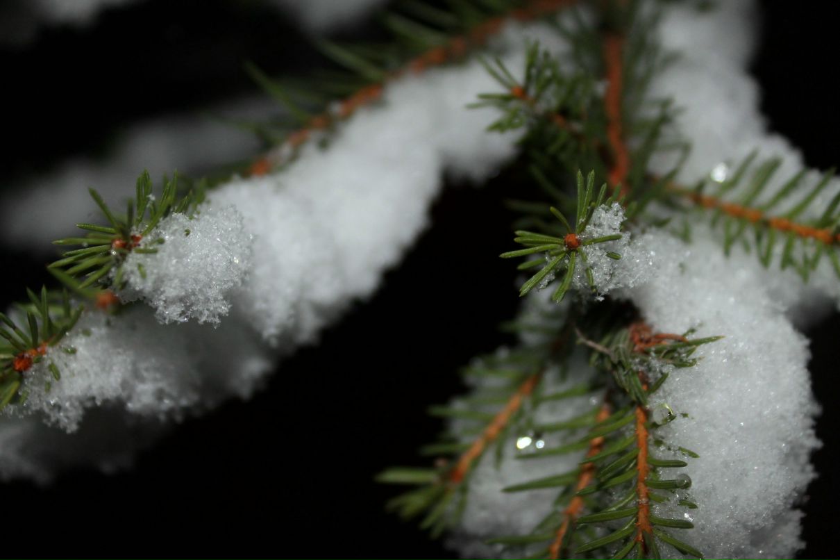 Дарья Базанова фотография #17