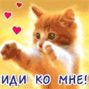 Діана Сов'як фотография #17 (источник - https://vk.com/id152920858)