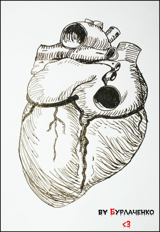 Марина Левтун фотография #25