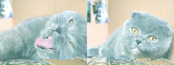 Маша Малімон фотография #32 (источник - https://vk.com/id47243622)