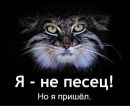 Фотография Волкова Николая