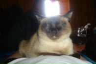 Фотография Пепеляевой Валентины